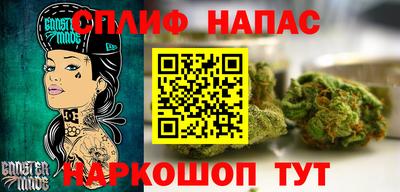 сатива Нальчик