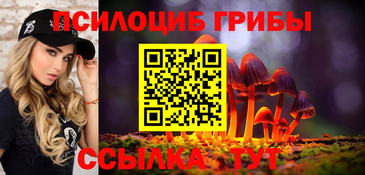 Галлюциногенные грибы Magic Shrooms  Галлюциногенные грибы Psilocybe  Вход с VPN  Севастополь 